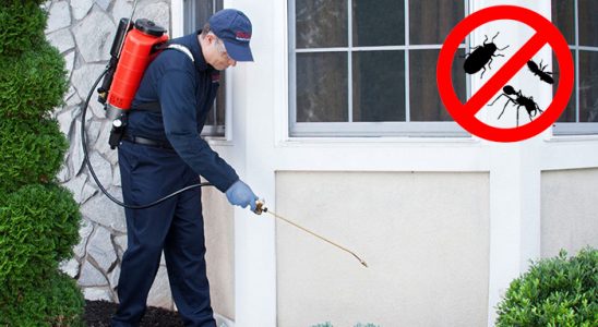 Ereğli Akrep İlaçlama böcek ilaçlama ve haşere kontrolü — ilaclama-tr.com
